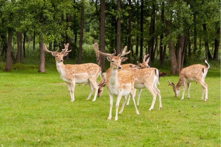 www rw foto 720x480px (98)_wynik